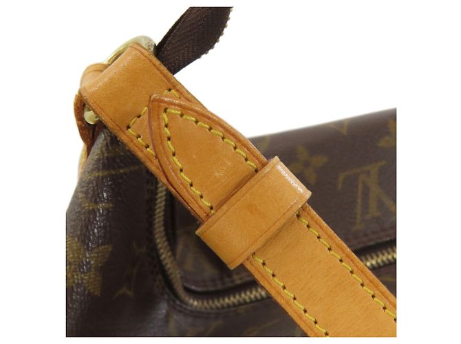 Borsa a Spalla Amfar Tre di Louis Vuitton Monogramma - vista 25