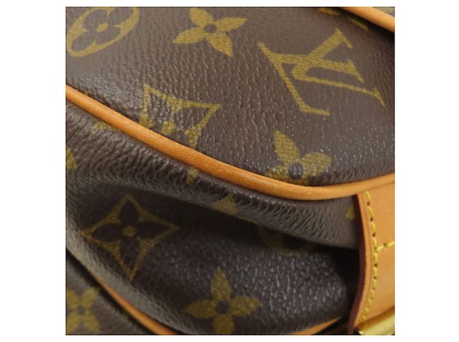Borsa a Spalla Saumur 30 M42256 di Louis Vuitton Monogramma - vista 21