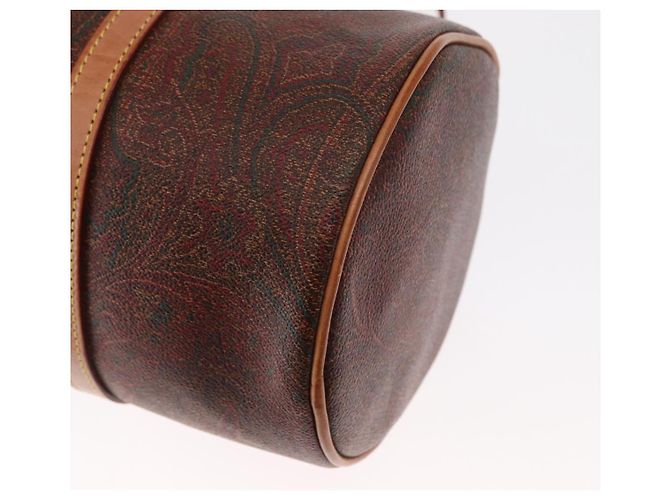 Bolso de mano ETRO de PVC marrón y dorado Auth 158540 - vista 13
