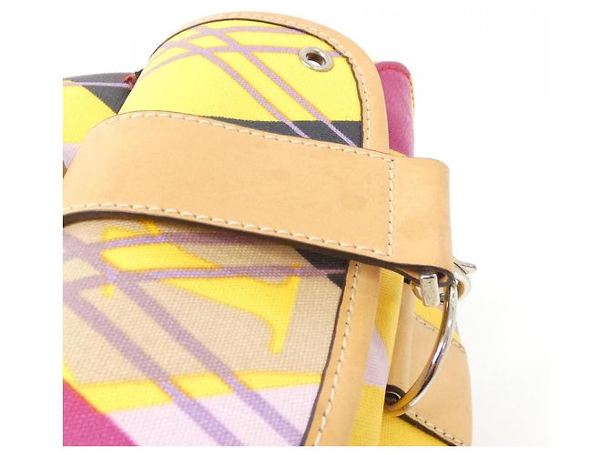 Borsa Boston GOL44261 Christian Dior Multicolore - vista 5