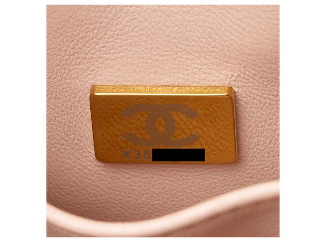 Gabrielle Borsa piccola Coco in pelle di caviar di Chanel Rosa - vista 6