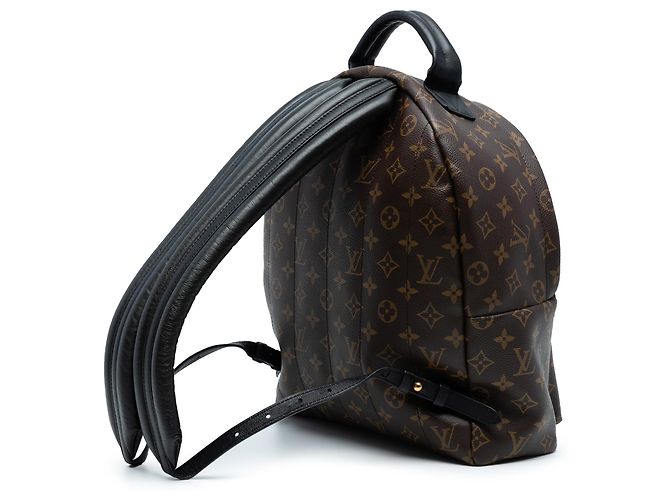 Zaino Palm Springs Mm Monogramma Louis Vuitton Marrone - vista 2
