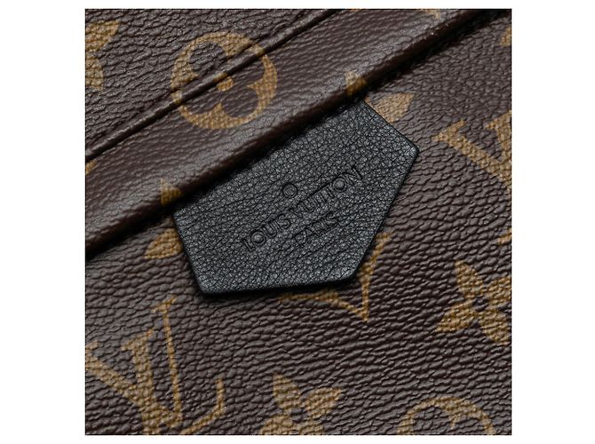 Zaino Palm Springs Mm Monogramma Louis Vuitton Marrone - vista 5