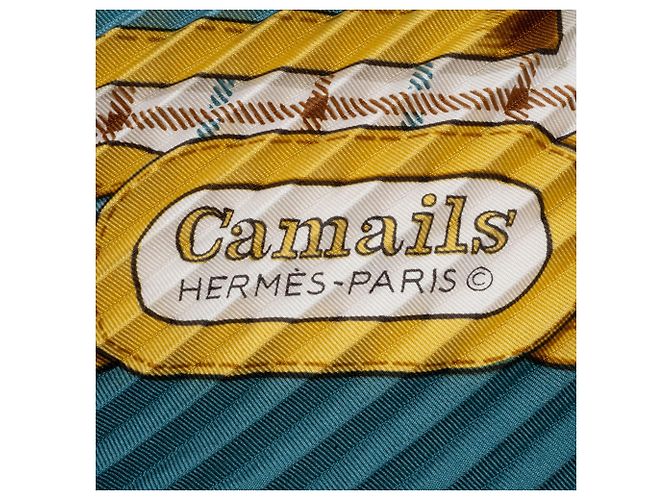 Bufanda de seda plisada Camail Carré 90 de Hermès Multicolor - vista 10