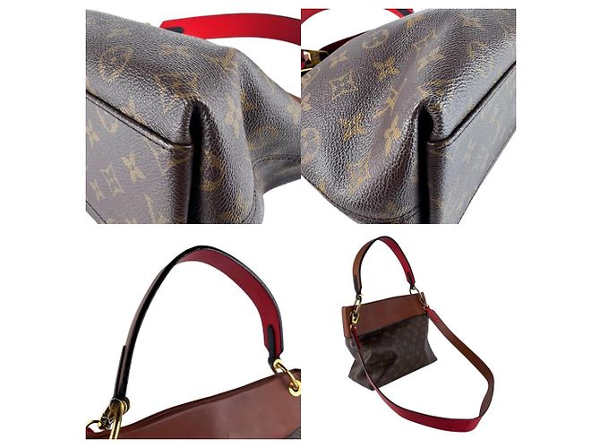 Borsa a Spalla Besace Tuileries Monogram Louis Vuitton Marrone Rosso - vista 4