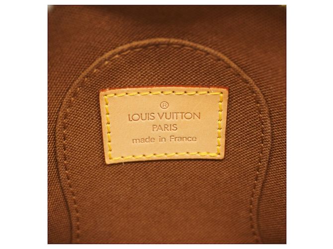 Pochette Mini Ellipse Monogramma Louis Vuitton Marrone - vista 5
