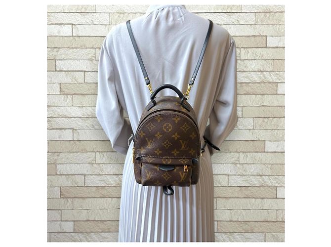 Louis Vuitton Palm Springs MINI Monogram Canvas Backpack Brown - view 2