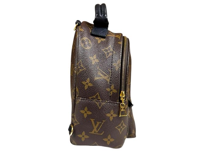 Louis Vuitton Palm Springs MINI Monogram Canvas Backpack Brown - view 4