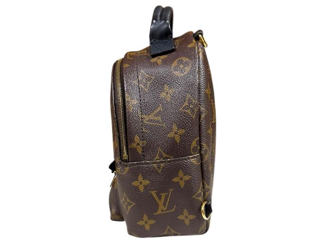 Louis Vuitton Palm Springs MINI Monogram Canvas Backpack Brown - view 5