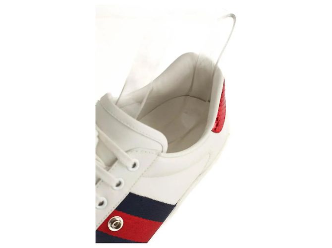 Gucci Sneaker basse in pelle bianche Bianco - vista 5
