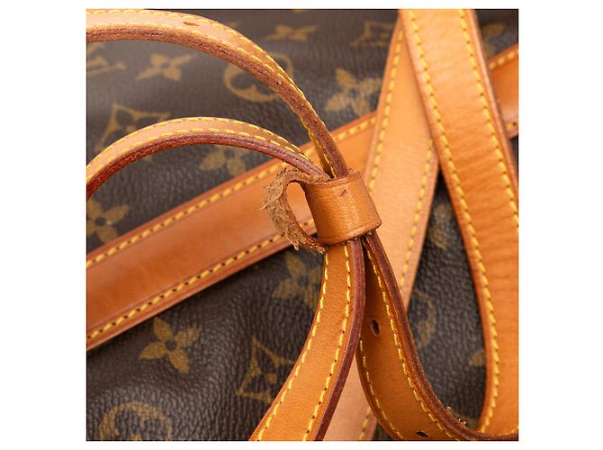 Louis Vuitton Marrone Monogram Randonnee PM - vista 7