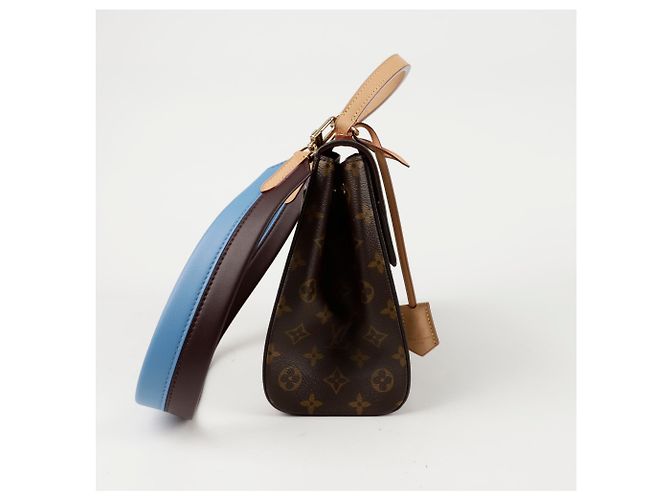 Louis Vuitton Borsa a spalla Cluny MM Marrone - vista 5