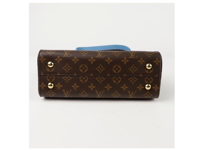 Louis Vuitton Borsa a spalla Cluny MM Marrone - vista 6