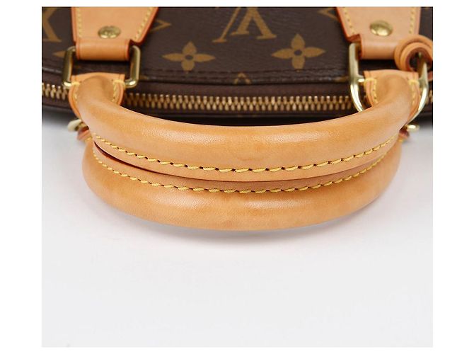 Louis Vuitton Borsa a Spalla Alma BB Marrone - vista 13