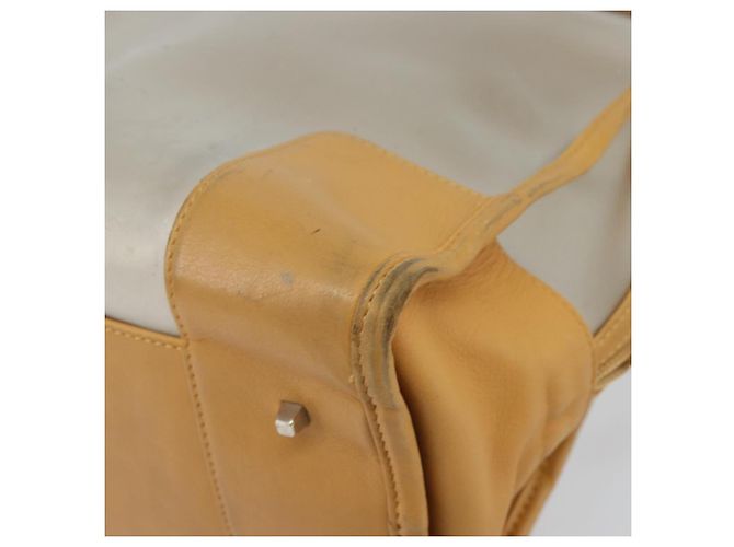LOEWE Anagramma Modello Limitato Amazona 30 Borsa a Mano Vinile Trasparente Argento Auth hk3315 - vista 15