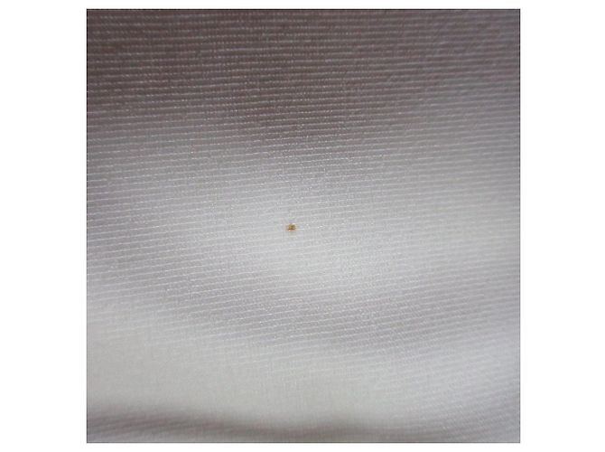 Autre Marque Knielanges Kleid CELFORD Weiß - vue 9