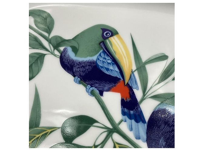 Ovaler Toucan Teller von Hermès Mehrfarben - Ansicht 7
