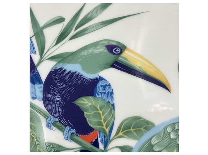 Ovaler Toucan Teller von Hermès Mehrfarben - Ansicht 8
