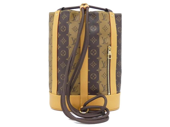 Borsa a spalla Randonne Monogram Stripe di Louis Vuitton Marrone - vista 2