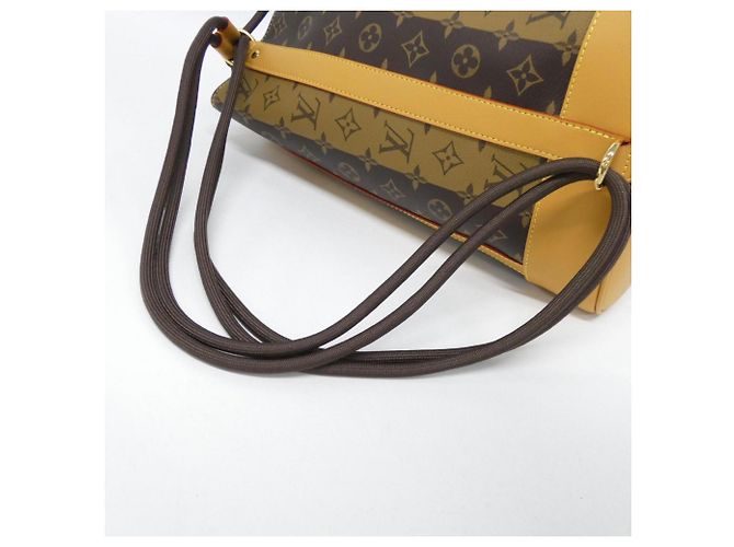 Borsa a spalla Randonne Monogram Stripe di Louis Vuitton Marrone - vista 4