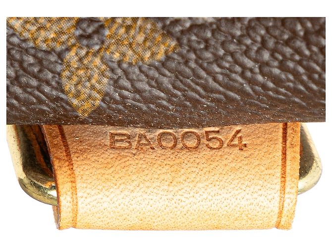 Louis Vuitton Monogram Alma Voyage MM Castaño - vista 6