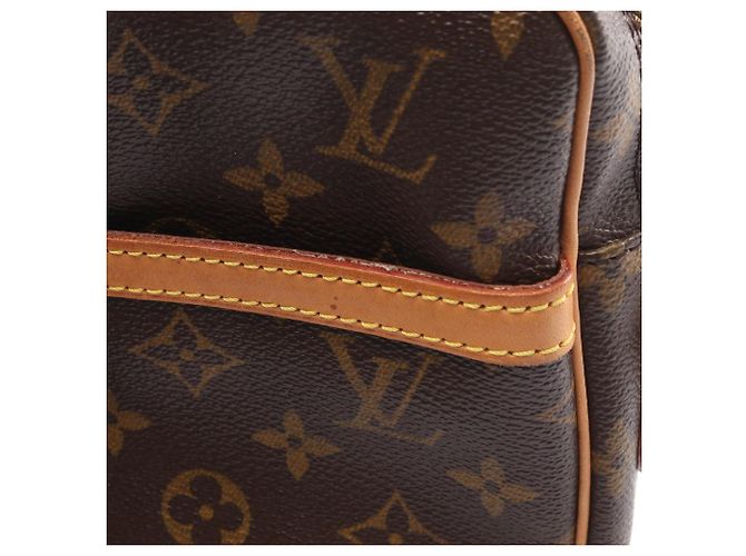 Borsa a Spalla Monogram Danube di Louis Vuitton Marrone - vista 11