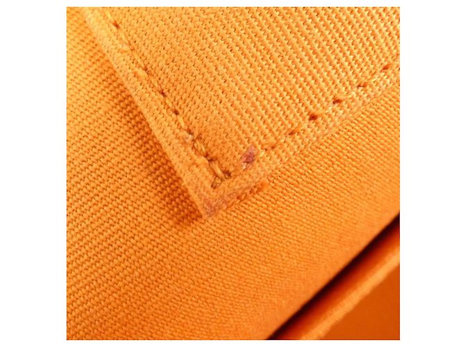 Borsa Hermès Cabag Elan PM Toile Officier Vache Hunter Arancione - vista 7