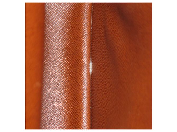 Louis Vuitton M45236 Amazon Shoulder Bag Monogram - view 10