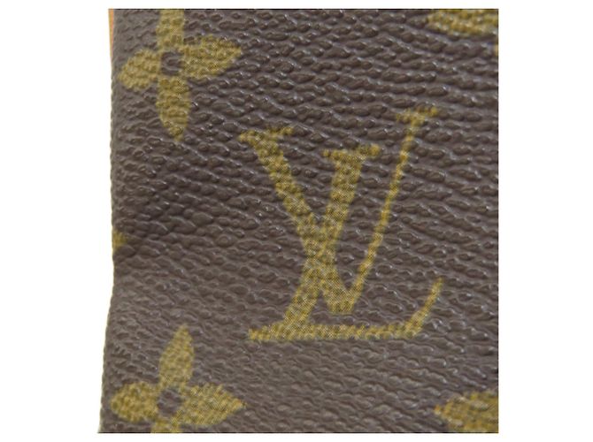 Louis Vuitton M45236 Amazon Shoulder Bag Monogram - view 16
