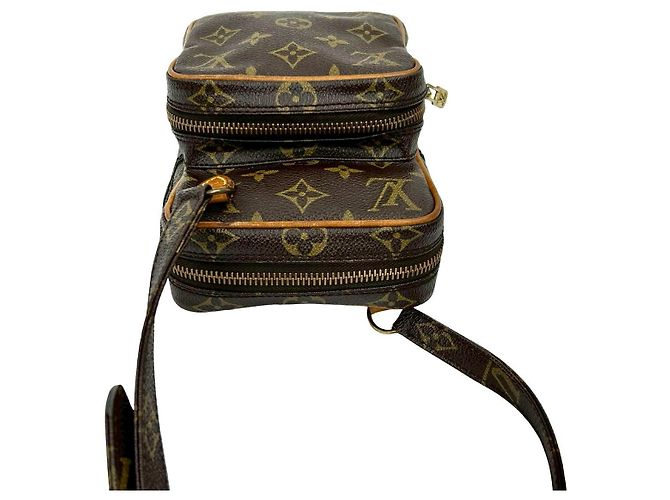 Mini borsa a spalla in pelle Monogram Amazon di Louis Vuitton Marrone - vista 5
