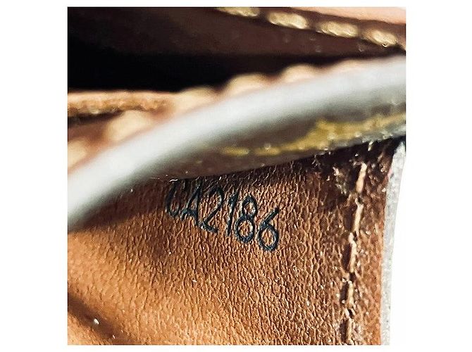 Portafoglio Lungo Monogramma Sarah di Louis Vuitton Marrone - vista 9