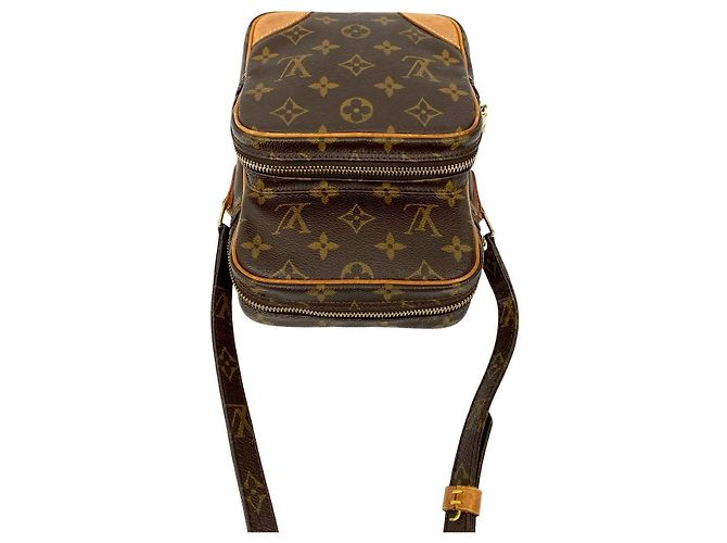 Mini borsa a spalla in pelle Monogram Amazon di Louis Vuitton Marrone - vista 5