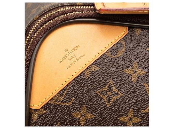 Louis Vuitton Marrone Monogram Pegase Legere Business 55 - vista 5