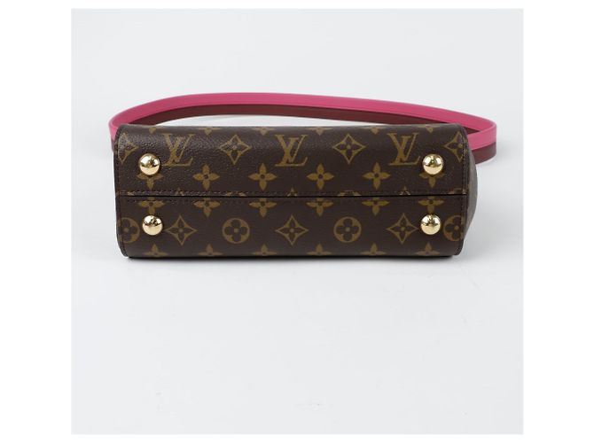 Louis Vuitton Borsa a spalla Cluny BB Marrone - vista 7