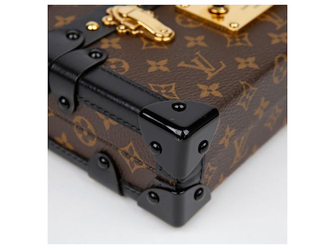 Louis Vuitton Borsa a tracolla Petit Mal Trunk Marrone - vista 9
