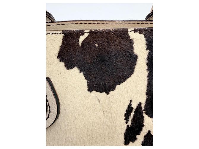 Dolce & Gabbana cavallino Marrone Bianco sporco - vista 11