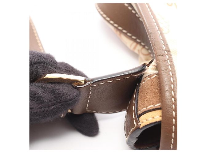 Borsa a Spalla Loewe 160 Anniversario Marrone Crudo - vista 5