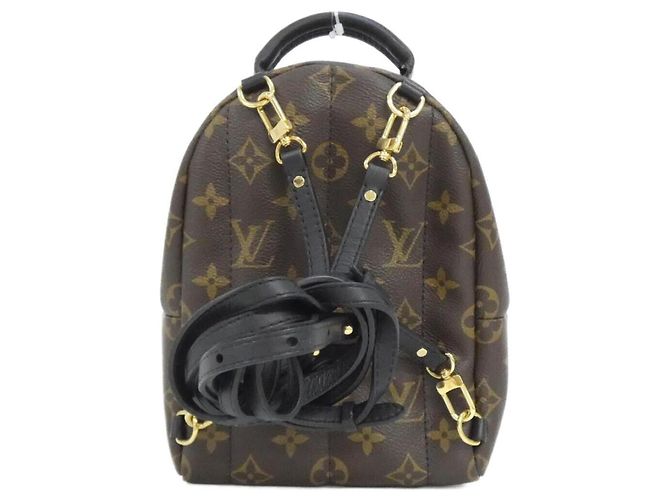 Louis Vuitton Monogram Palm Springs Mini Rucksack M44873 Braun - Ansicht 2