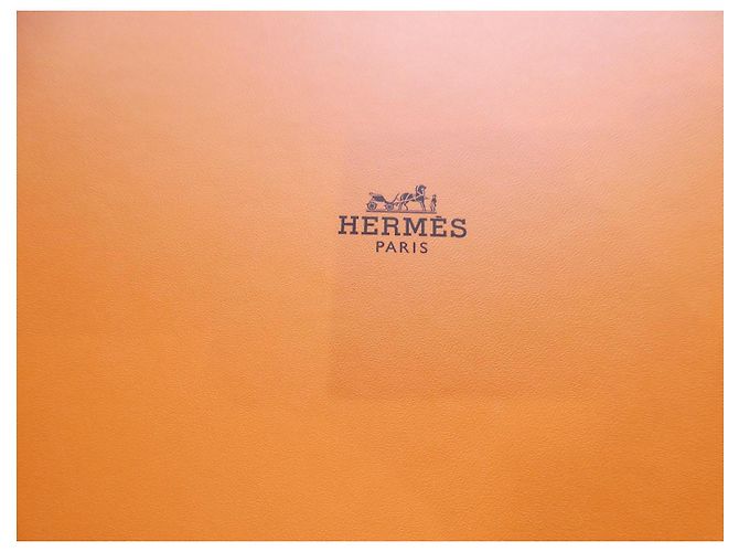 Hermès box for Hermès Birkin 30 handbag 1313 with SPN chevron canvas dustbag Orange - view 2