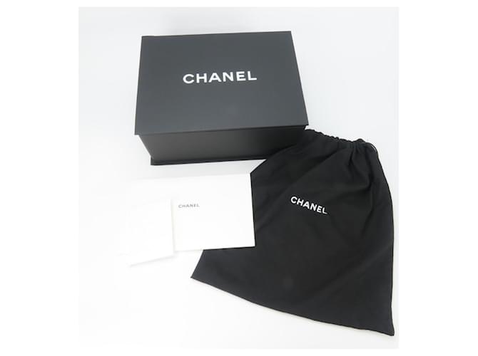 Borsa Chanel Coco Handle XS Bianco - vista 26
