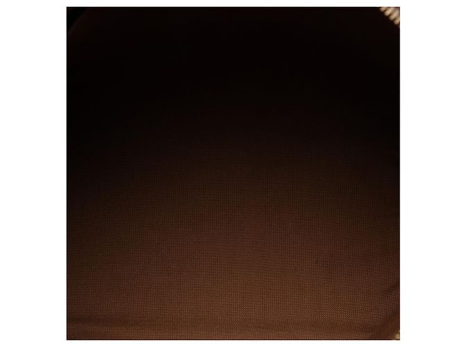 Louis Vuitton Brown Monogram Palermo PM - view 4