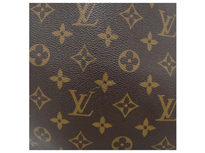 Borsa a Spalla Louis Vuitton Monogram Graceful PM M43701 Marrone Beige - vista 5