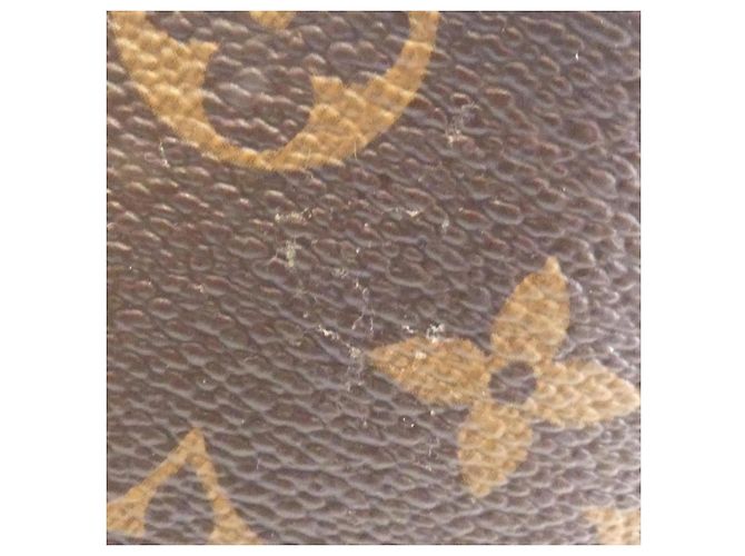 Borsa a Spalla Graceful PM Monogramma Louis Vuitton Marrone Rosa - vista 5