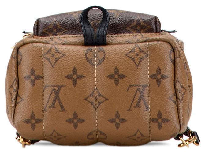 Mini Palm Springs Monograma Inverso Louis Vuitton Castaño - vista 3