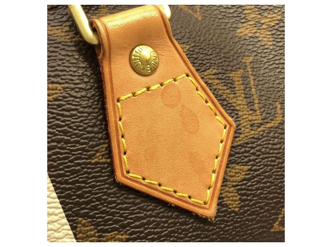 Borsa Boston Speedy 25cm Monogramma Louis Vuitton Marrone - vista 4