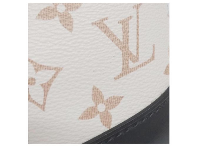 Borsa Alma GM Monogram Dune Louis Vuitton - vista 5