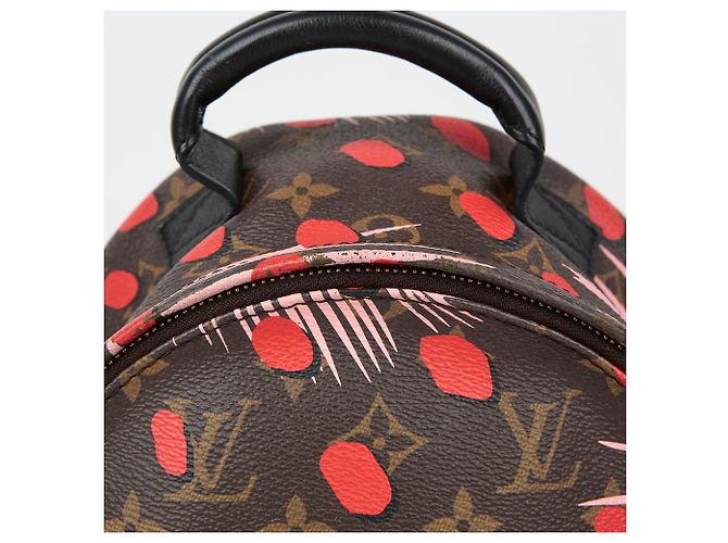 Louis Vuitton Zaino Palm Springs PM Multicolore - vista 2