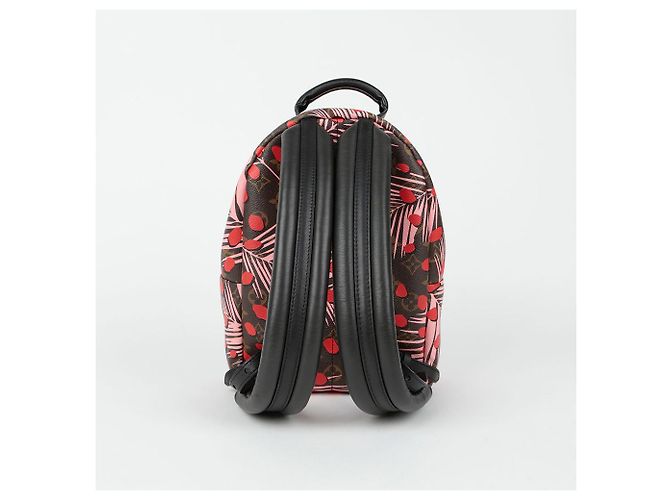 Louis Vuitton Zaino Palm Springs PM Multicolore - vista 4