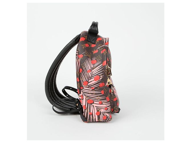 Louis Vuitton Zaino Palm Springs PM Multicolore - vista 5