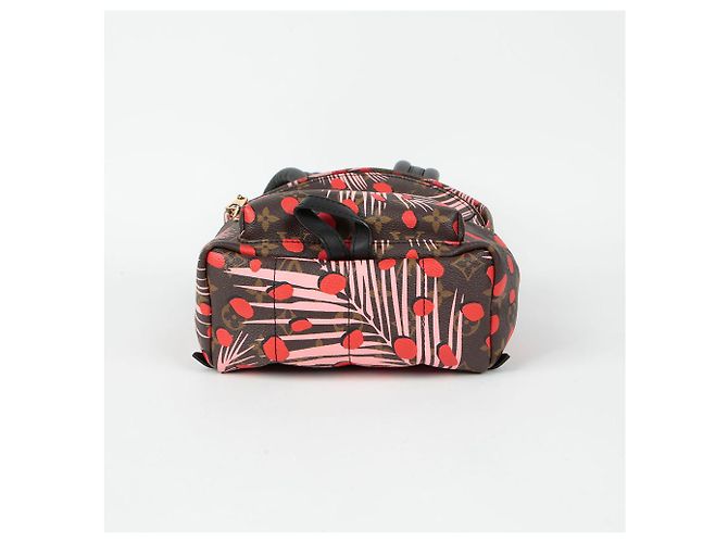 Louis Vuitton Zaino Palm Springs PM Multicolore - vista 6